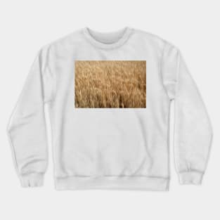 Wheatfield oil painting effect. Crewneck Sweatshirt